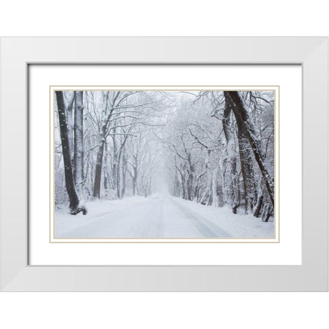 Going Home White Modern Wood Framed Art Print with Double Matting by Aledanda