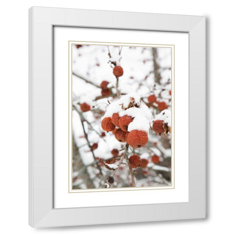 Snowcapped White Modern Wood Framed Art Print with Double Matting by Aledanda