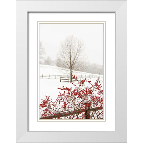 Red on White White Modern Wood Framed Art Print with Double Matting by Aledanda