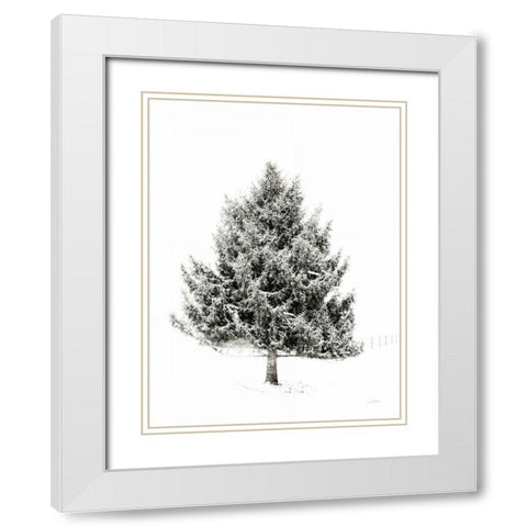 Lone Pine White Modern Wood Framed Art Print with Double Matting by Aledanda