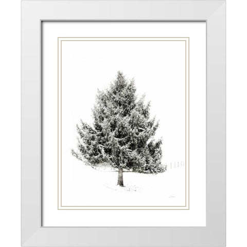 Lone Pine White Modern Wood Framed Art Print with Double Matting by Aledanda