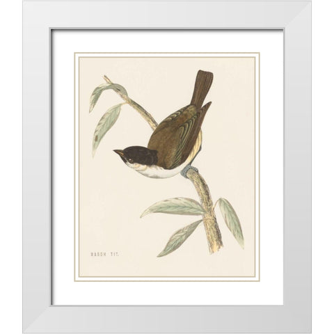 Engraved Birds II White Modern Wood Framed Art Print with Double Matting by Wild Apple Portfolio