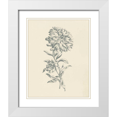 Eden Floral I White Modern Wood Framed Art Print with Double Matting by Wild Apple Portfolio
