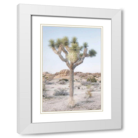Joshua Tree National Park II White Modern Wood Framed Art Print with Double Matting by Majchrowicz, Alan
