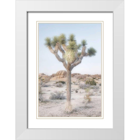 Joshua Tree National Park II White Modern Wood Framed Art Print with Double Matting by Majchrowicz, Alan