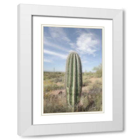 Saguaro White Modern Wood Framed Art Print with Double Matting by Majchrowicz, Alan