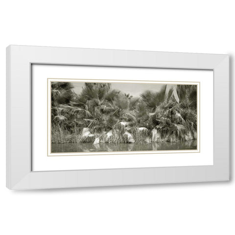 Water Palms White Modern Wood Framed Art Print with Double Matting by Goldstein, Ed