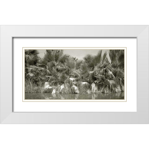 Water Palms White Modern Wood Framed Art Print with Double Matting by Goldstein, Ed