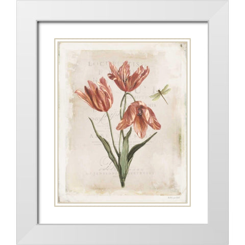 Antiquarian Blooms III White Modern Wood Framed Art Print with Double Matting by Pertiet, Katie