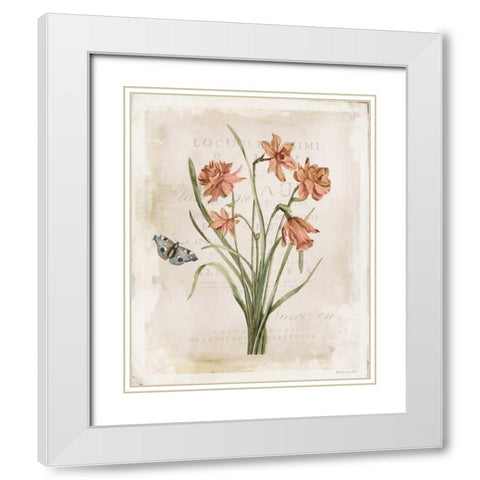 Antiquarian Blooms V White Modern Wood Framed Art Print with Double Matting by Pertiet, Katie