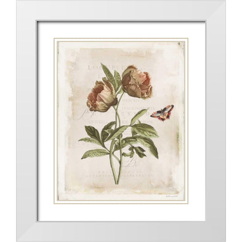 Antiquarian Blooms VI White Modern Wood Framed Art Print with Double Matting by Pertiet, Katie