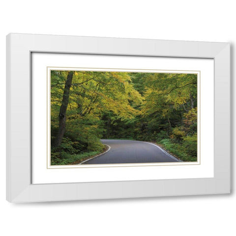 Smugglers Notch Road White Modern Wood Framed Art Print with Double Matting by Majchrowicz, Alan