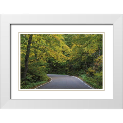 Smugglers Notch Road White Modern Wood Framed Art Print with Double Matting by Majchrowicz, Alan