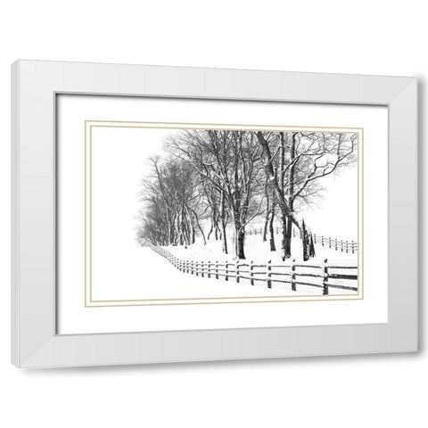 Winter Wonderland White Modern Wood Framed Art Print with Double Matting by Aledanda