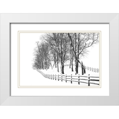 Winter Wonderland White Modern Wood Framed Art Print with Double Matting by Aledanda