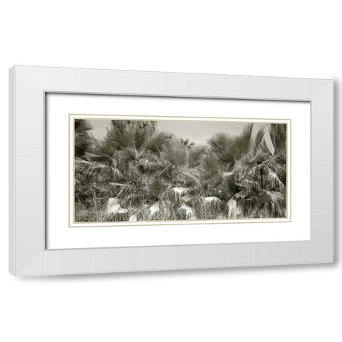 Water Palms Crop White Modern Wood Framed Art Print with Double Matting by Goldstein, Ed