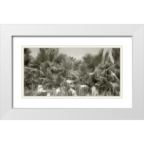 Water Palms Crop White Modern Wood Framed Art Print with Double Matting by Goldstein, Ed