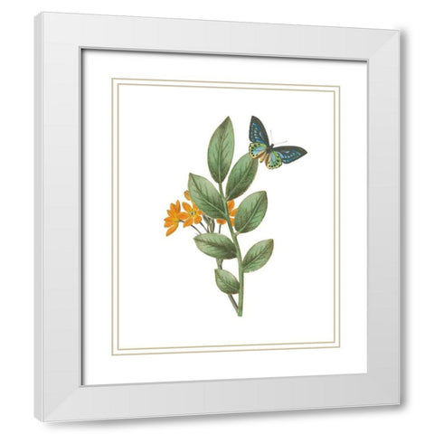Greenery Butterflies I White Modern Wood Framed Art Print with Double Matting by Wild Apple Portfolio