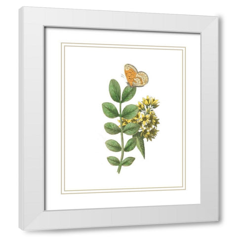 Greenery Butterflies II White Modern Wood Framed Art Print with Double Matting by Wild Apple Portfolio