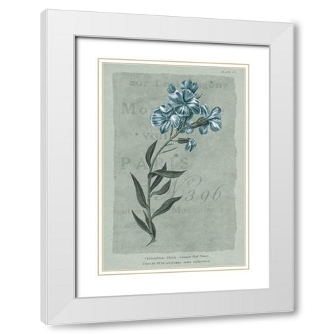 Conversations on Botany VI on White with Blue White Modern Wood Framed Art Print with Double Matting by Wild Apple Portfolio