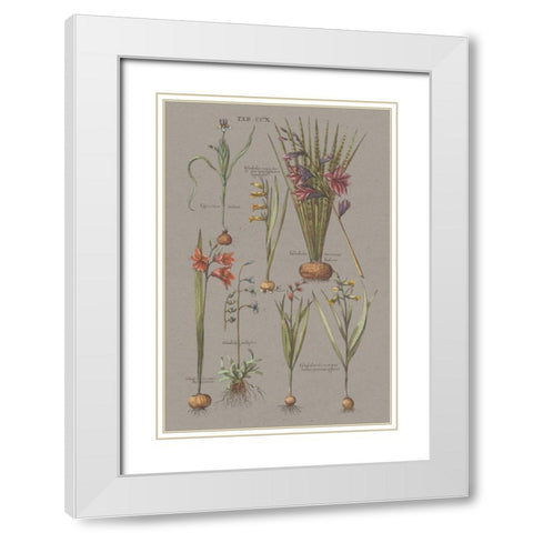 Florilegium III Gray White Modern Wood Framed Art Print with Double Matting by Wild Apple Portfolio