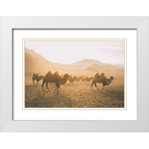 Camels on the Move White Modern Wood Framed Art Print with Double Matting by Aledanda