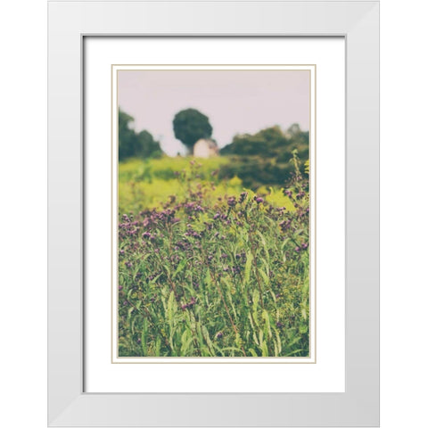 Roadside Flowers White Modern Wood Framed Art Print with Double Matting by Aledanda