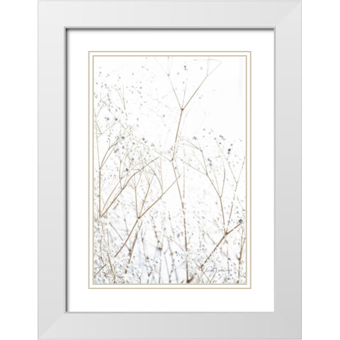 Gypsophila White Modern Wood Framed Art Print with Double Matting by Catterall, Elise