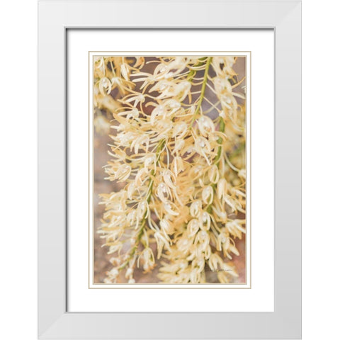 Orchid Detail White Modern Wood Framed Art Print with Double Matting by Catterall, Elise