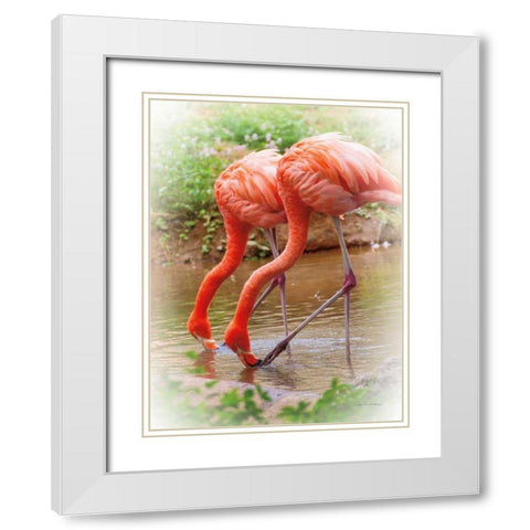 Two Flamingos White Modern Wood Framed Art Print with Double Matting by Van Swearingen, Debra