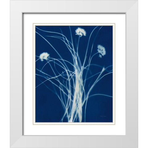 Enchanted Cyanotype II White Modern Wood Framed Art Print with Double Matting by Green, Nancy