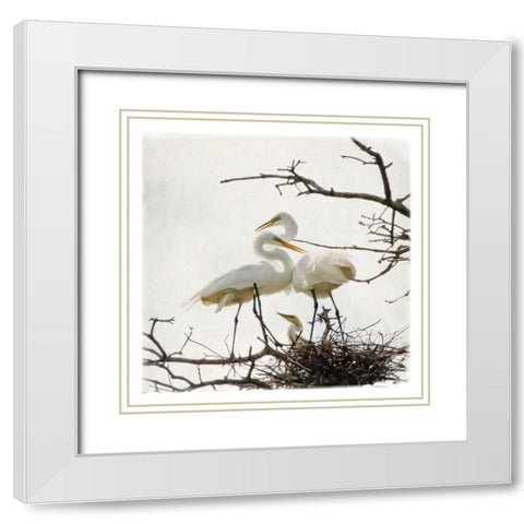 Devotion White Modern Wood Framed Art Print with Double Matting by Van Swearingen, Debra