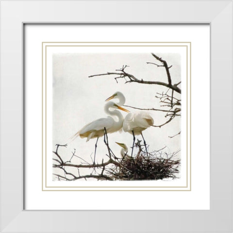 Devotion White Modern Wood Framed Art Print with Double Matting by Van Swearingen, Debra