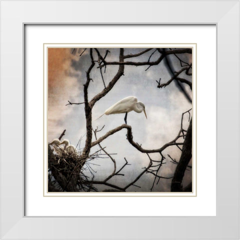 Respite White Modern Wood Framed Art Print with Double Matting by Van Swearingen, Debra