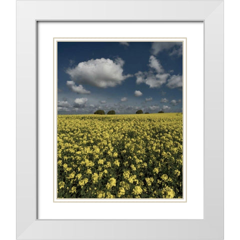 Yellow Fields White Modern Wood Framed Art Print with Double Matting by Eichman, Andre