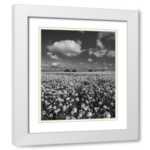 Yellow Fields BW White Modern Wood Framed Art Print with Double Matting by Eichman, Andre