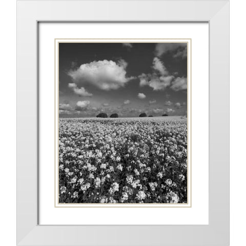 Yellow Fields BW White Modern Wood Framed Art Print with Double Matting by Eichman, Andre