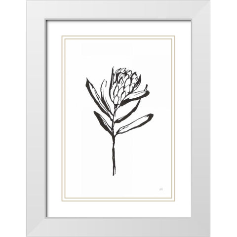 Line Protea I White Modern Wood Framed Art Print with Double Matting by Paschke, Chris
