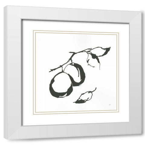 Plums I BW White Modern Wood Framed Art Print with Double Matting by Paschke, Chris