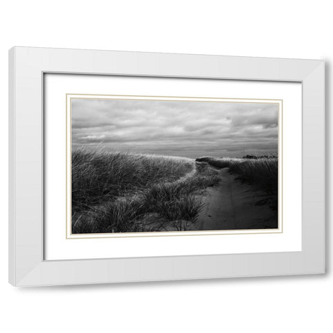 Beach Grasses White Modern Wood Framed Art Print with Double Matting by Aledanda
