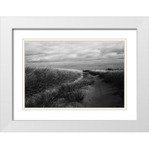 Beach Grasses White Modern Wood Framed Art Print with Double Matting by Aledanda