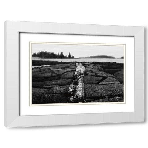 Fissures in Maine White Modern Wood Framed Art Print with Double Matting by Aledanda