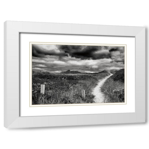 Nantucket Pathway White Modern Wood Framed Art Print with Double Matting by Aledanda