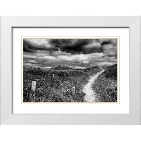 Nantucket Pathway White Modern Wood Framed Art Print with Double Matting by Aledanda
