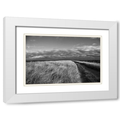 Road to the Beach White Modern Wood Framed Art Print with Double Matting by Aledanda