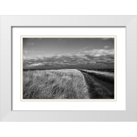Road to the Beach White Modern Wood Framed Art Print with Double Matting by Aledanda