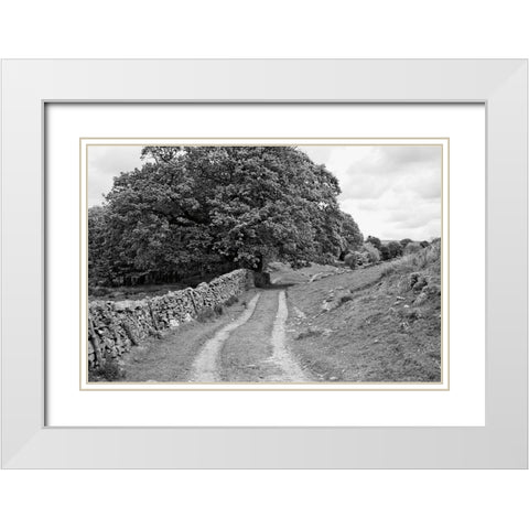 Wynlass Beck White Modern Wood Framed Art Print with Double Matting by Marshall, Laura