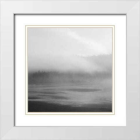 Salt Creek I White Modern Wood Framed Art Print with Double Matting by Marshall, Laura