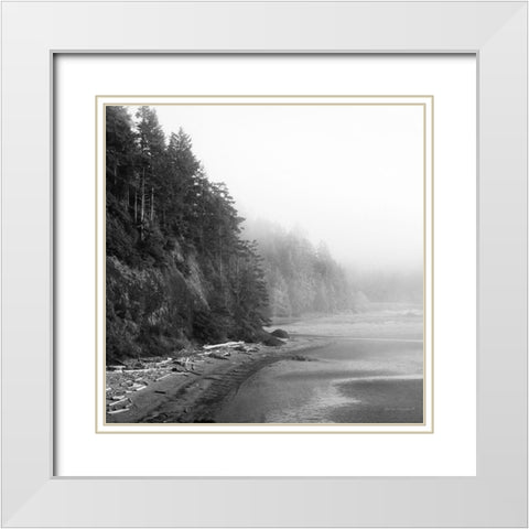 Salt Creek III White Modern Wood Framed Art Print with Double Matting by Marshall, Laura