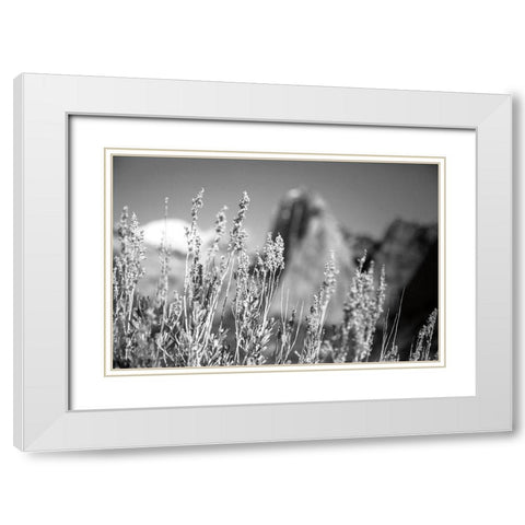 Canyon Sagebrush White Modern Wood Framed Art Print with Double Matting by Marshall, Laura